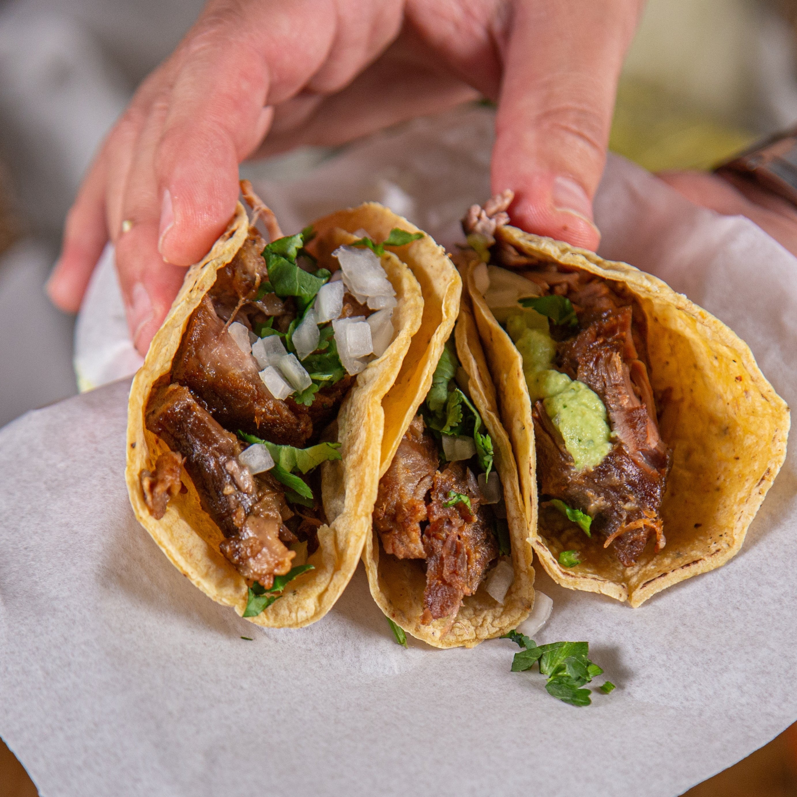 Carnitas (15 Tacos)